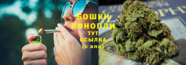 mdpv Белокуриха
