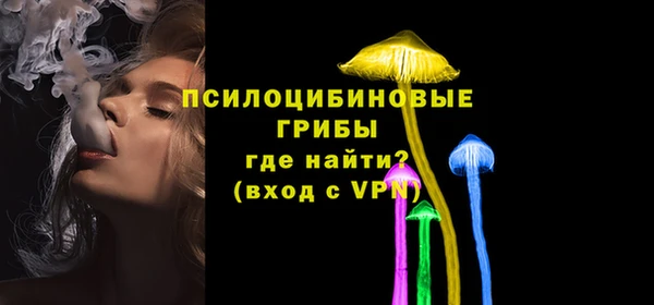 mdpv Белокуриха
