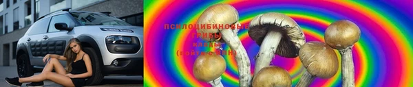 дживик Беломорск