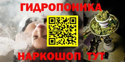 дмт Будённовск