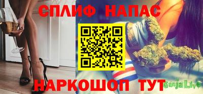 дмт Будённовск