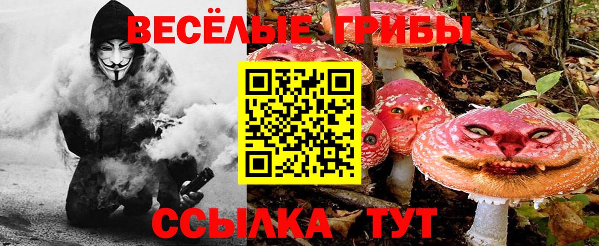 Галлюциногенные грибы Psilocybe Воскресенск