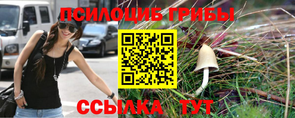 Псилоцибиновые грибы Magic Shrooms  Псилоцибиновые грибы прущие грибы  магазин продажи   Вход с VPN  Воскресенск 